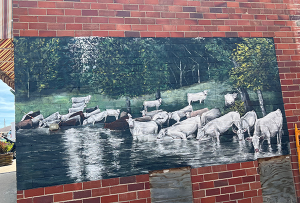 Charlois cows mural Princteon